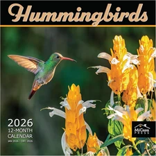 MICASA Hummingbirds 2026 Wall Calendar, 12-Month, 12x24, Giftable, Vibrant Art
