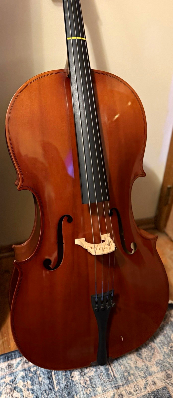 Johannes Köhr K39-1 4/4 Cello 2014