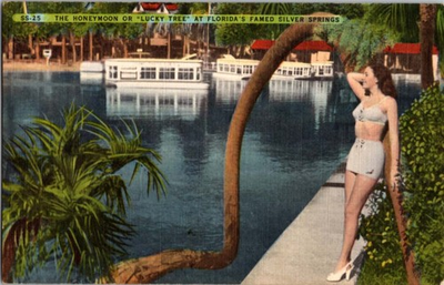 #ad #ad Ocala Florida FL : SILVER SPRINGS TOURIST ATTRACTION m 12 BI0928 $2.49