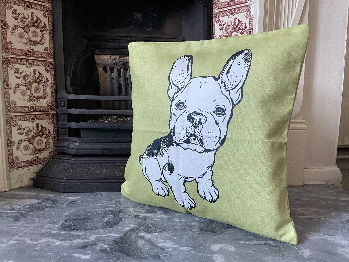 French Bulldog Cushion Cover, Pistachio Pop Art Room Decor, Gift