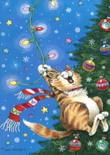 Cat Swinging from Christmas Tree Lights Box of 18 Funny Christmas Cards
