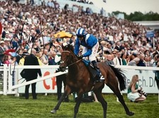 Jim Crowley Hand Signed 10x8 Photo Horse Racing Autograph 3