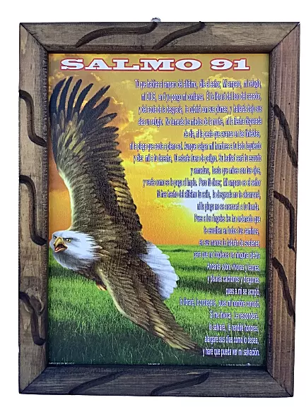 SALMO 91 91 VEZES 