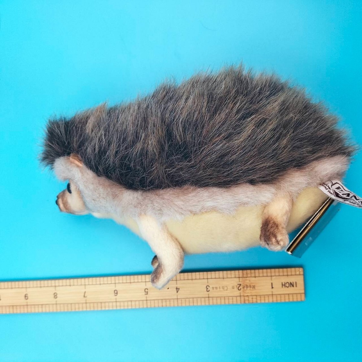 Hansa シマウマ Portraits of Nature art 26009 Portraits of Nature Hansa African Pygmy Hedgehog Animals