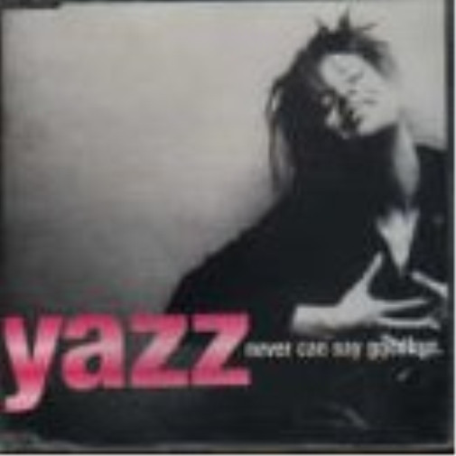 Язз никогда не сможет сказать Прощай (CD)