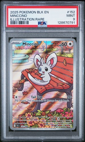 Minccino graded PSA 9 for sale on eBay