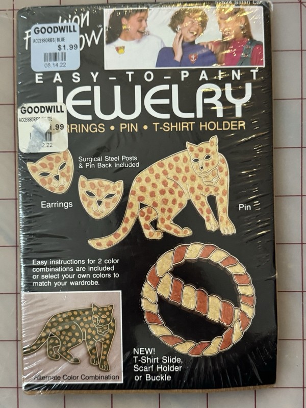 Fashion Show Easy-To-Paint Jewelry Kit Earrings, Brooch Pin & T-Shirt Holder