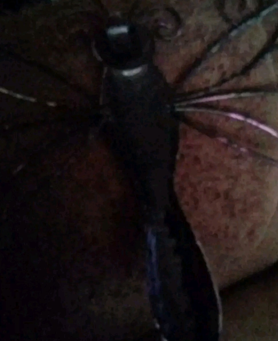 Picture 4 of 8