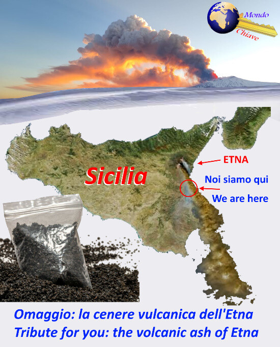 Foto 6 di 6