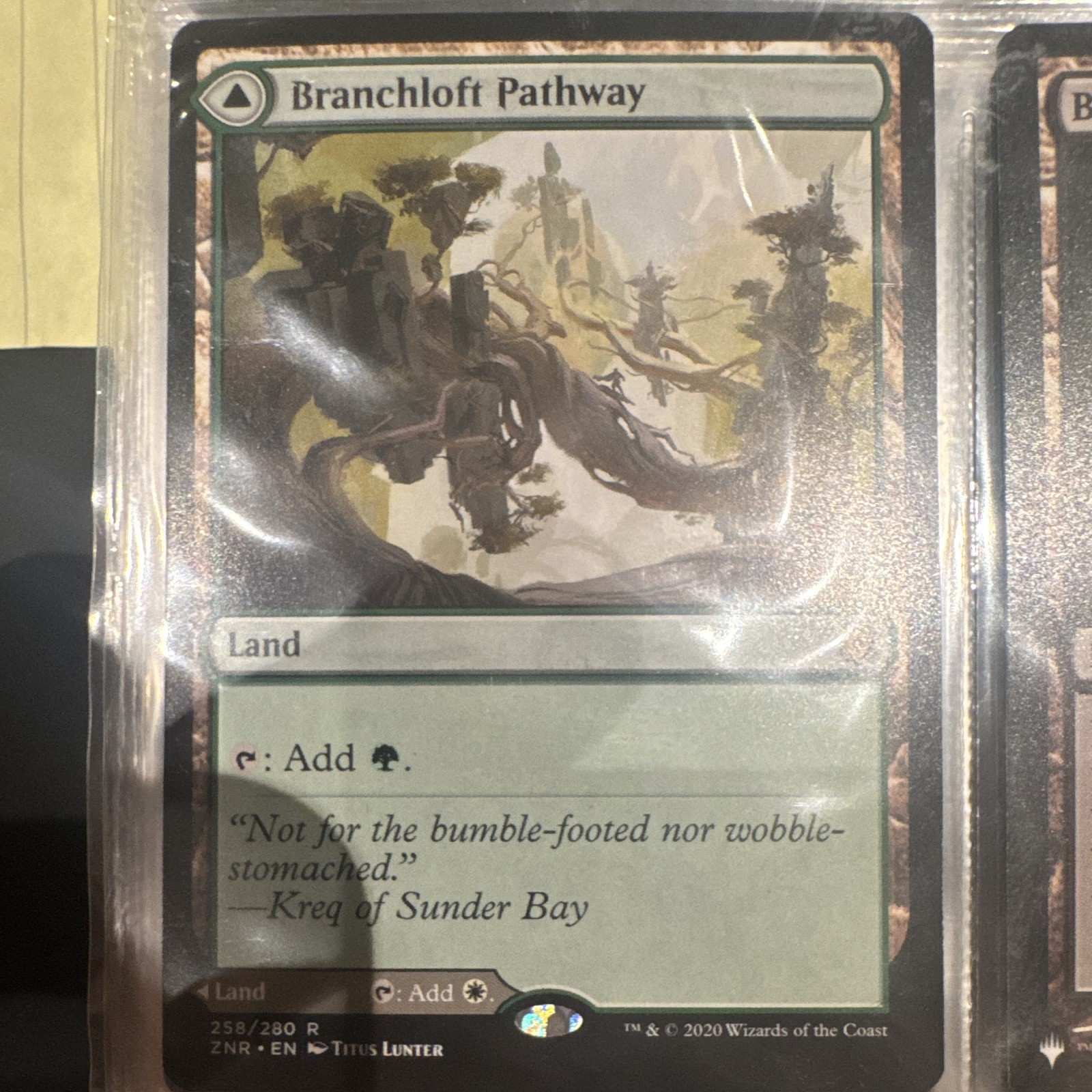 Wizards of the Coast Branchloft Pathway 258/280 Borderless Rare
