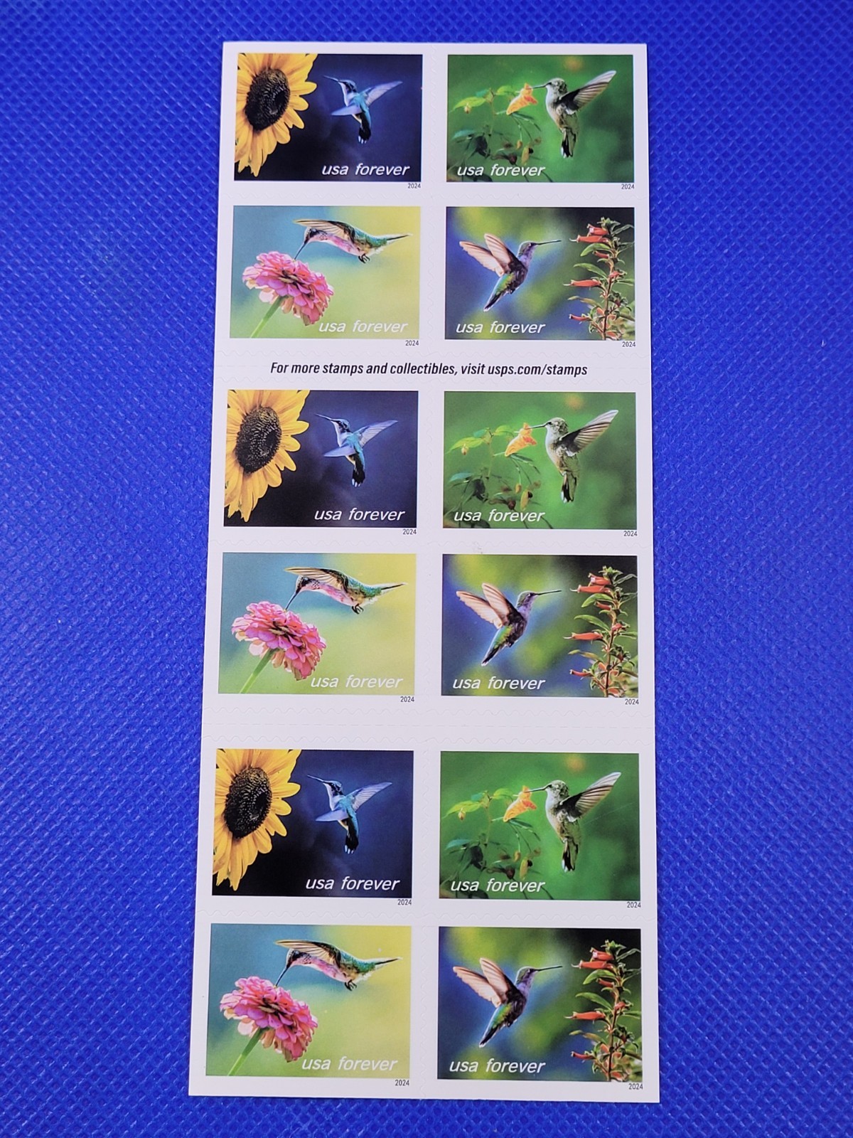 20 FOREVER FIRST CLASS LETTER STAMPS GARDEN DELIGHTS 2024 MNH BOOK HUMMINGBIRD 