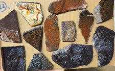 Dinosaur Agate Gem Bone Fossil Coprolite Cabochon Preforms slabs, 12 pcs Flat 23