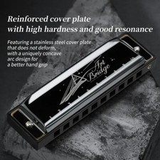 Blues Harmonica Mouth Organ 10 Hole C Key with Case, Diatonic Harmonica Player,