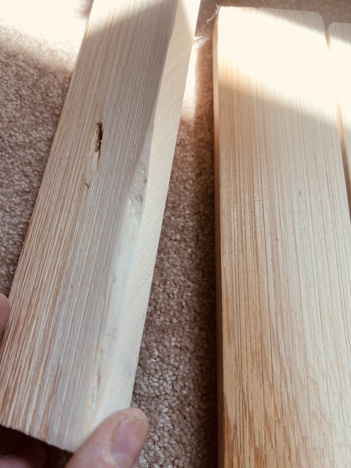 Picture 9 of 12