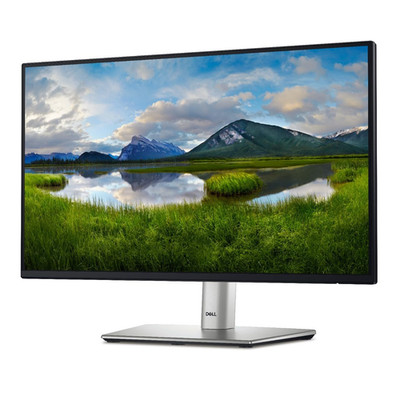 Dell P2425 24'' WUXGA 1920x1200 IPS MONITOR CABLES GRADE A Professional Monitor