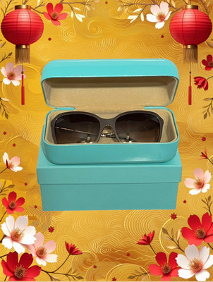 Tiffany Co sunglasses, brown frame with silver arms and gold