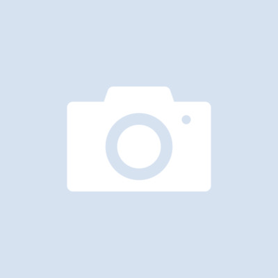 Bulgin Ltd. Buccaneer Standard Dichtung
