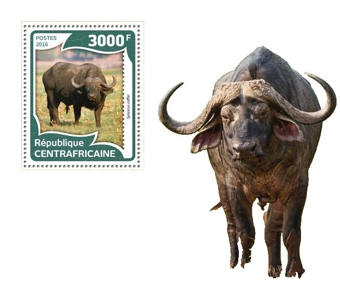 Superb African Stamps