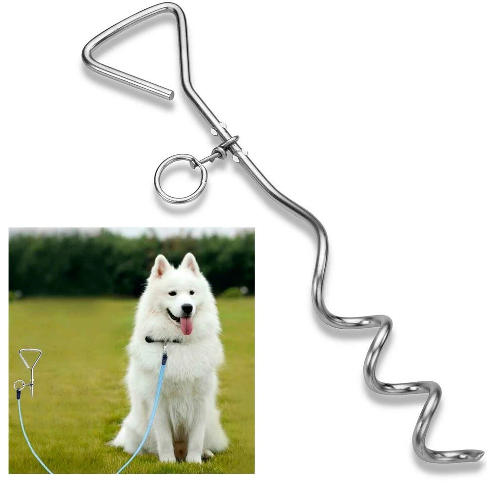Puppy tie out deals
