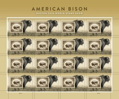 US American Bison Buffalo Pre-Order Imperf Sheet Pane of 16 NDC 2026