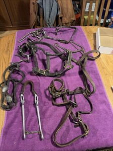 Vintage Horse Items Made Of Brass,aluminum,metal And Leather