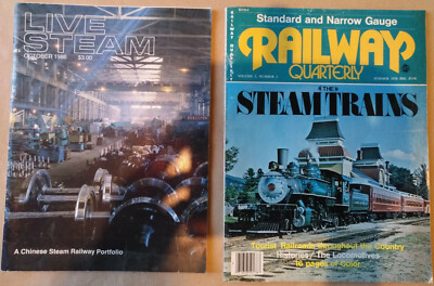 Locomotiva a vapore digitale standard per modellismo ferroviario scala H0 | Acquisti Online su