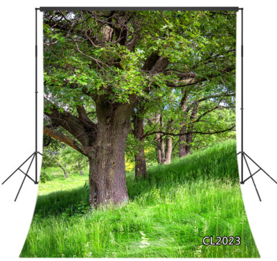 Spring Forest Bloom Trees Green Grass 8X10FT Vinyl Backdrop Photo Background LB