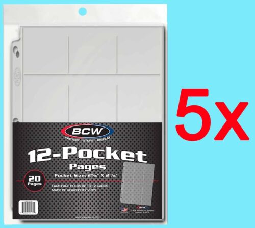 100 BCW 12-POCKET VINYL COIN Pages 2.5 x 2.5 Binder Sheets Protector Flip Holder - Picture 1 of 5