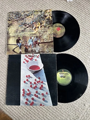 PAUL MCCARTNEY 2 Vinyl LP LOT: “McCartney” & Wings “Wild Life” APPLE RECORDS