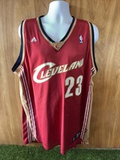 LeBron James Cleveland Cavaliers Adidas Stitched Jersey, Size 2XL