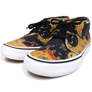 vans andres serrano