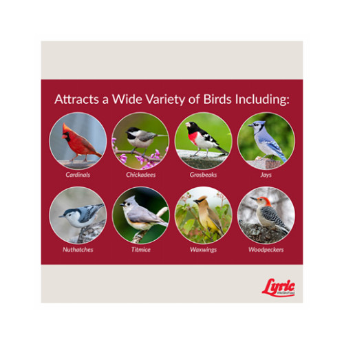 Lyric 2647344 Fruit & Nut High Energy Wild Bird Food Mix, 20 Lbs. - Quantity 1