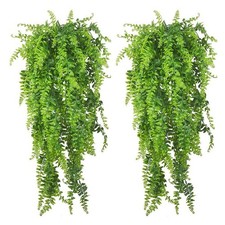 مقتنيات Simulation Green