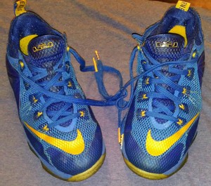 lebron james shoes yellow