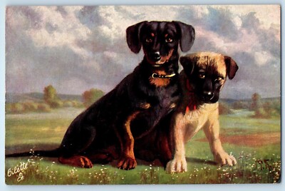 c1910's Favourite Dogs Puppy Flowers Animals Oilette Tuck Antique Postcard