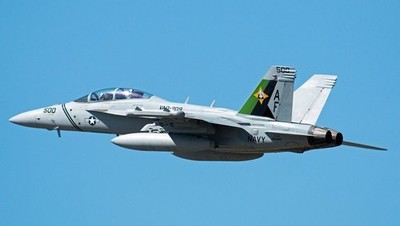 Boeing EA-18G Growler VAQ-209 Star Warriors Navy Mahogany Model Large Scale 1/48