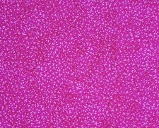1 Yard Bright Pink Blender BTY 100 Cotton Sewing Fabric Toner