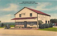 J59/ North East Pennsylvania Postcard Linen Ken Youngs Fruit Farm  157