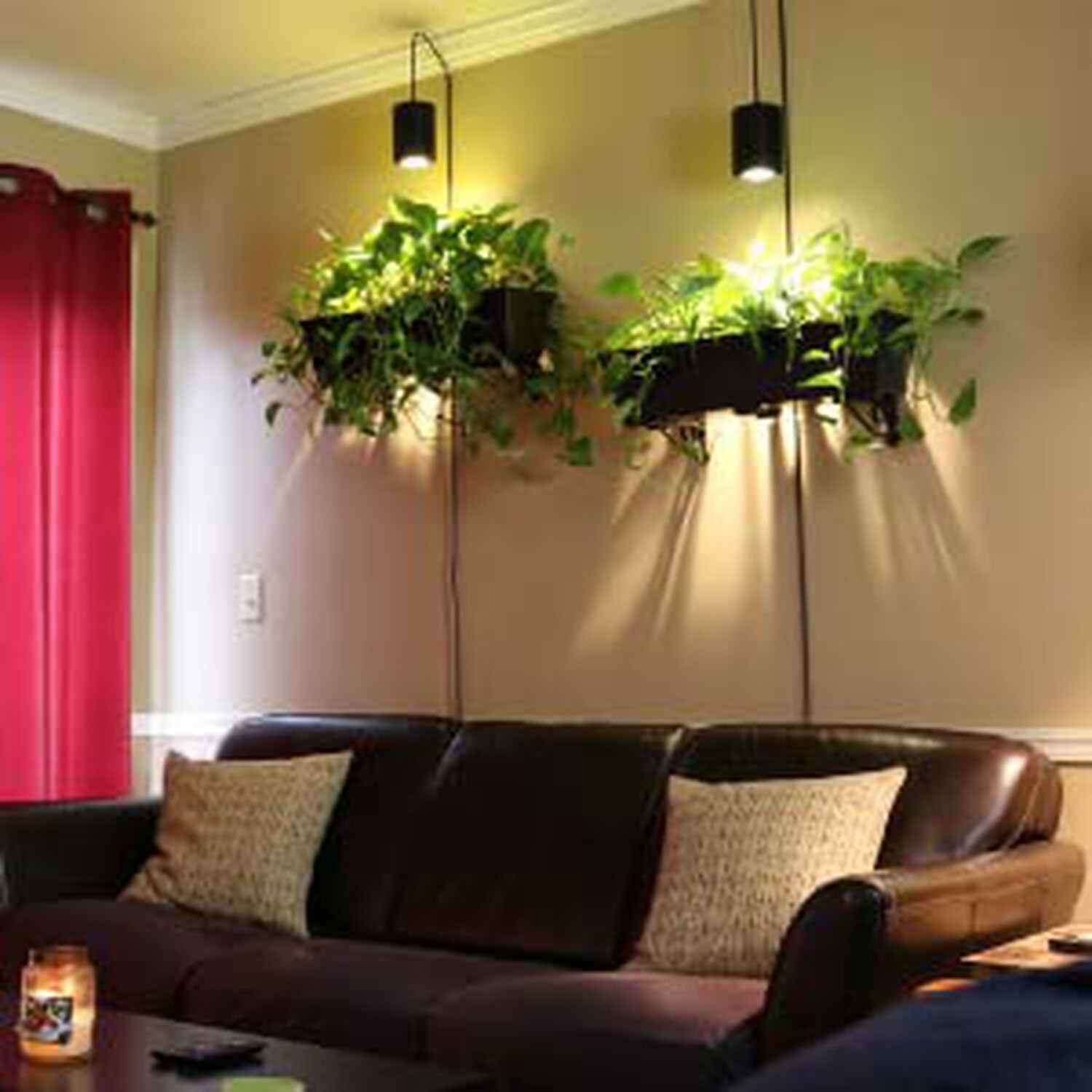 Bioluz LED Full Spectrum Grow Light Bulbs for Indoor Plants A19 LED 3 Pack