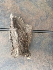 Natural Driftwood for Plants Terrarium Taxidermy Art Projects