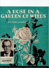A Rose In A Garden Of Weeds - Jack White - Sheet Music