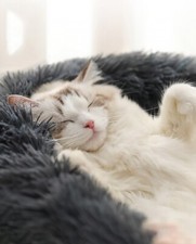 The Original PINK Comfy Kitty Fluffy Plush Cat Bed Dog Bed Pet Bed Large 27in 