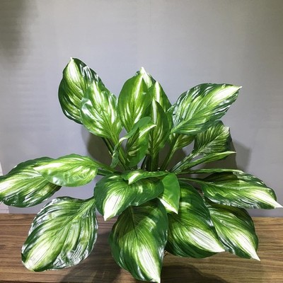 2Pcs Artificial Halcyon Hosta Perennial Plants 19'' Large Faux Cordyline Shade