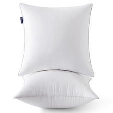 MIULEE 20 x 20 Pillow Inserts Set of 2 -Throw Pillows for Couch Sofa with 1...