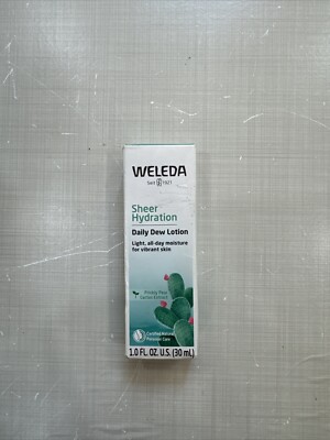 green dracaena Striped Dracaena For Sale, Including Care Guide