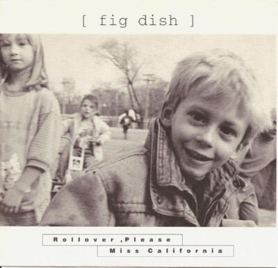 Fig Dish Miss California / Rollover, Please PURPLE Vinyl Single 7inch