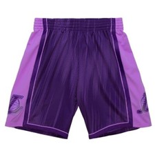 Mitchell  Ness Monochrome Swingman Los Angeles Lakers 2009-10 Purple Shorts M