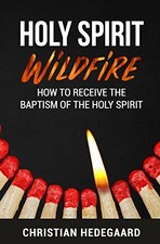 			Holy Spirit Wildfire: How to receive the baptis. Hedegaard<|		