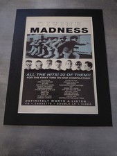 madness divine madness Original Album Advert Mounted