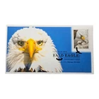 Bald Eagle Hatchling to Adult / USA Forever Stamp First Day Cover / 2026 FDC